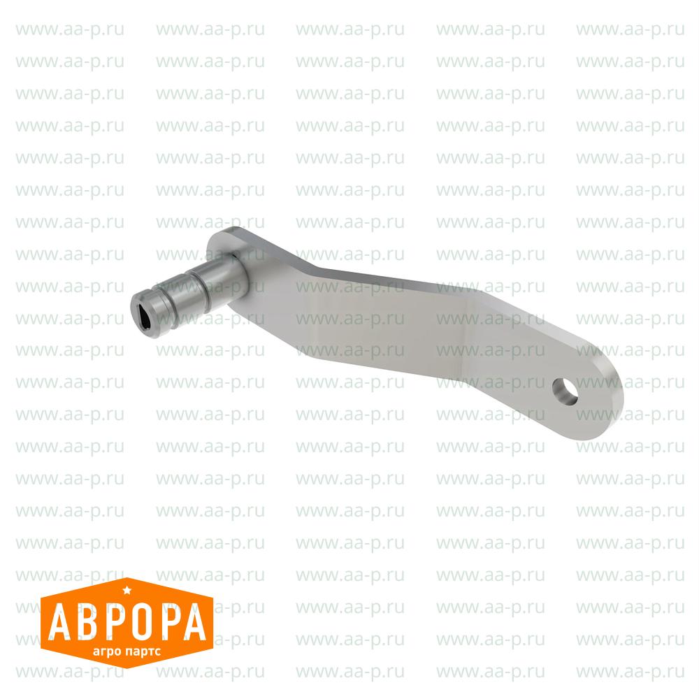 Arm